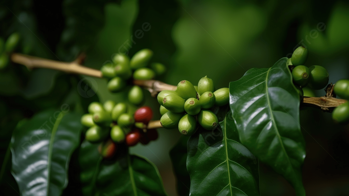 1200x673 Coffee Powerpoint Background Image