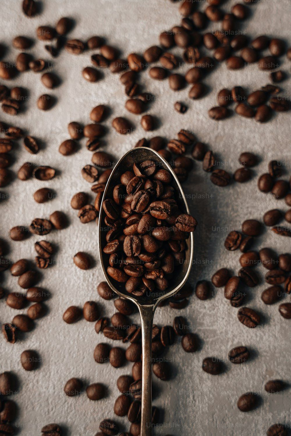 1000x1499 Coffee Plants Picture. Download Free