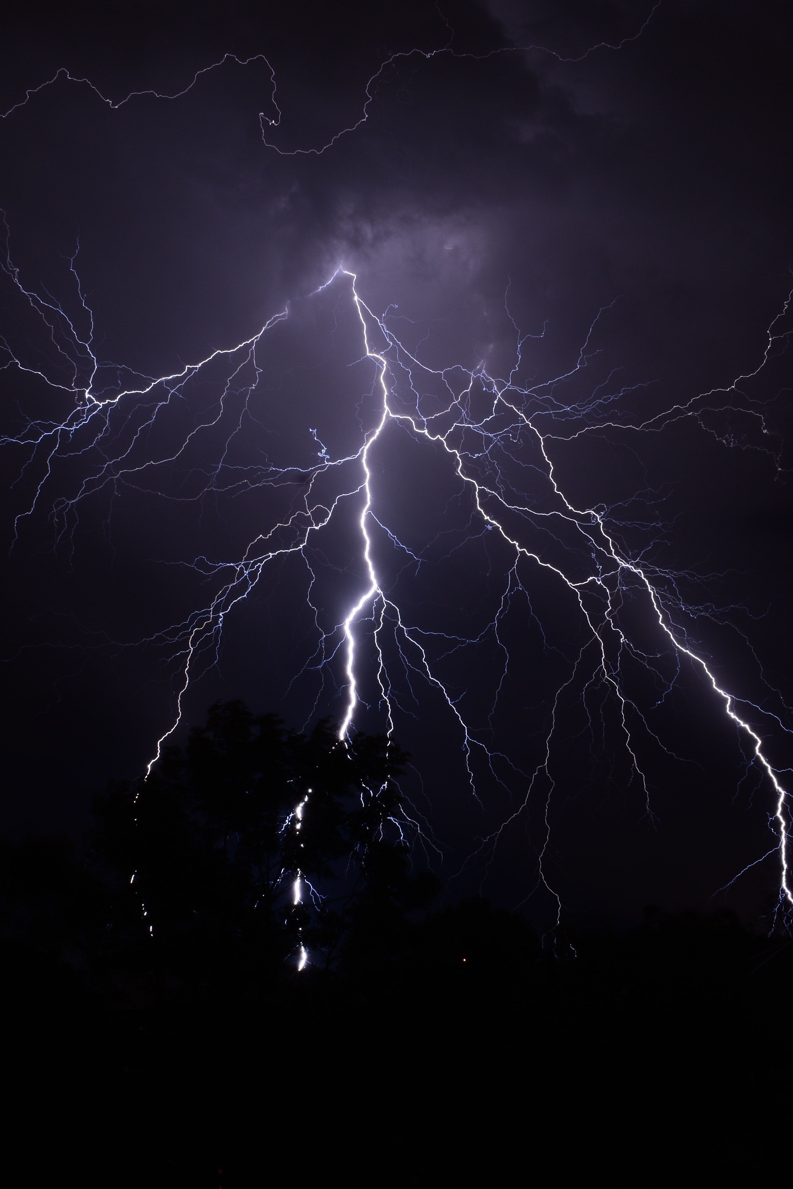 2667x4000 Lightning wallpaper for mobile phone
