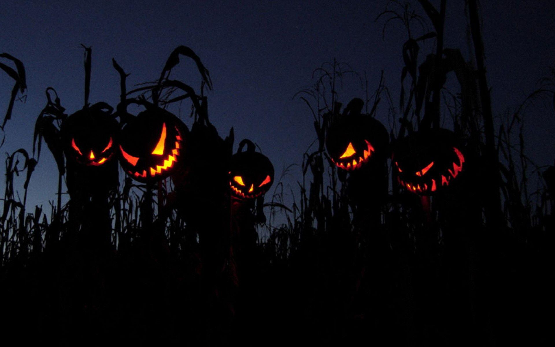 1920x1200 Scary Halloween Wallpaper HD background picture