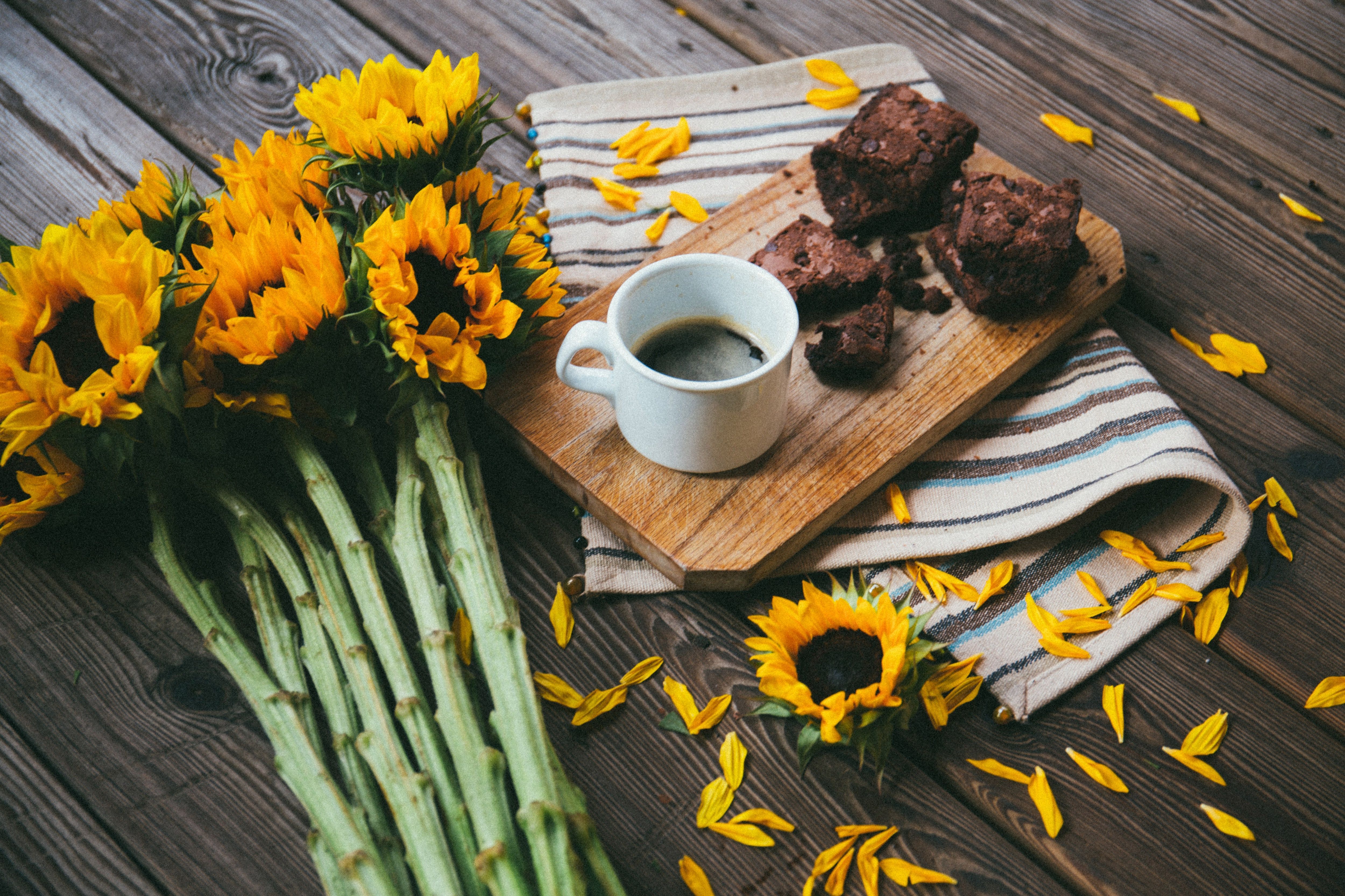 5000x3333 Coffee & Flowers Royalty Free