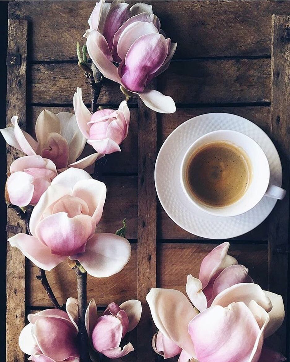 937x1171 fleur aesthetic. Coffee wallpaper, Tea