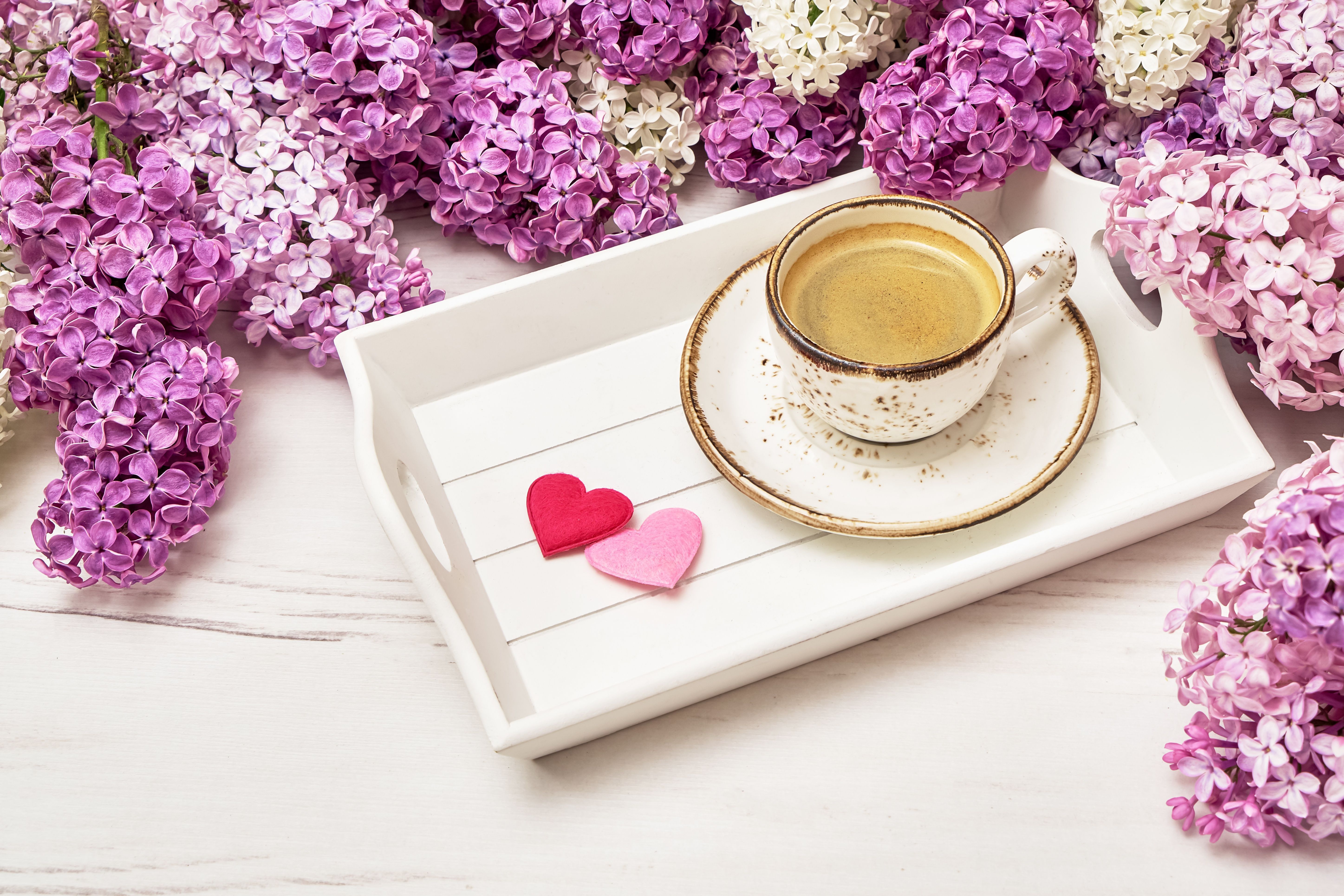 5789x3861 HD desktop wallpaper: Food, Lilac