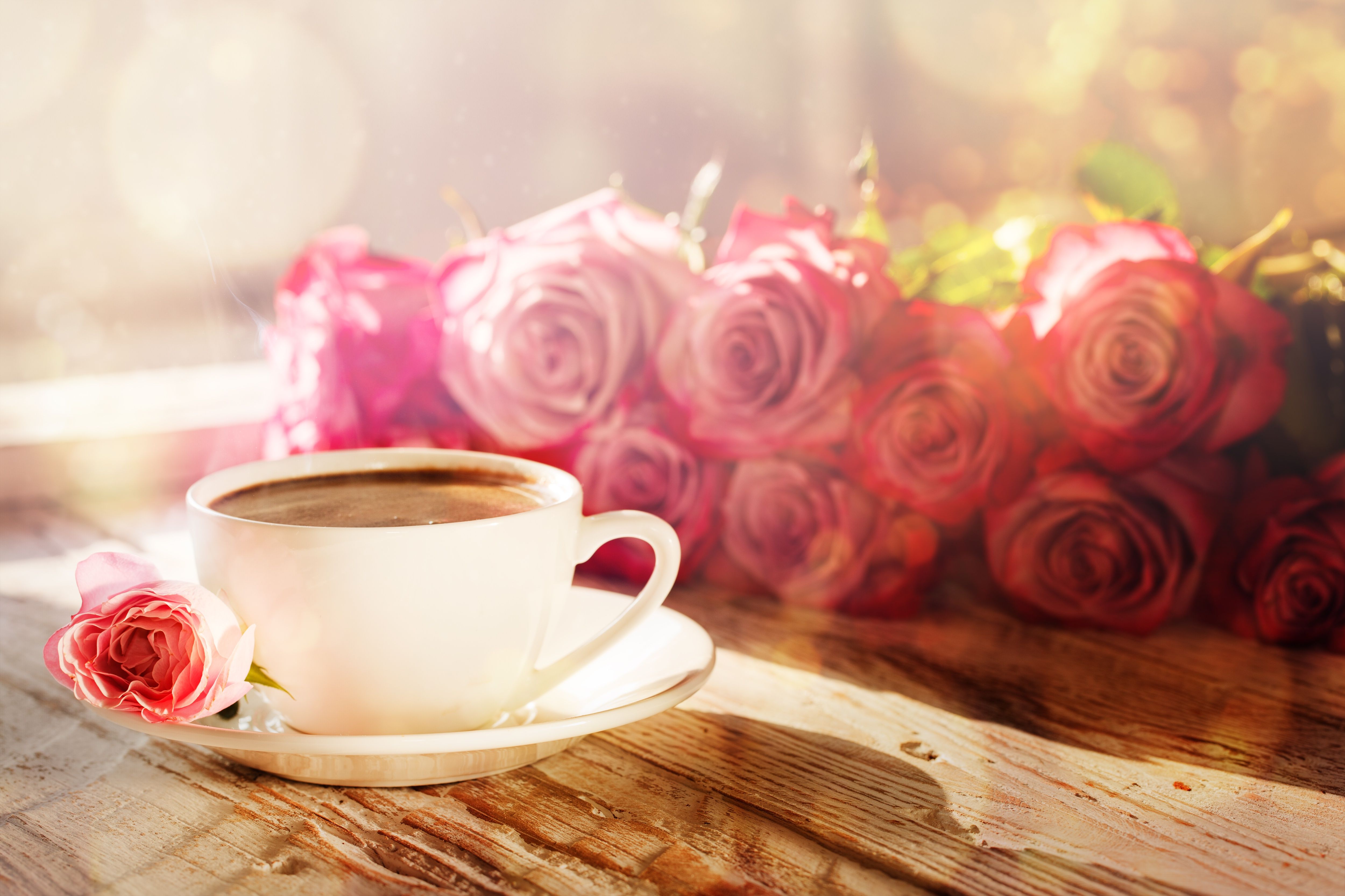 5000x3333 Food, Coffee, Still Life, Flower, Rose