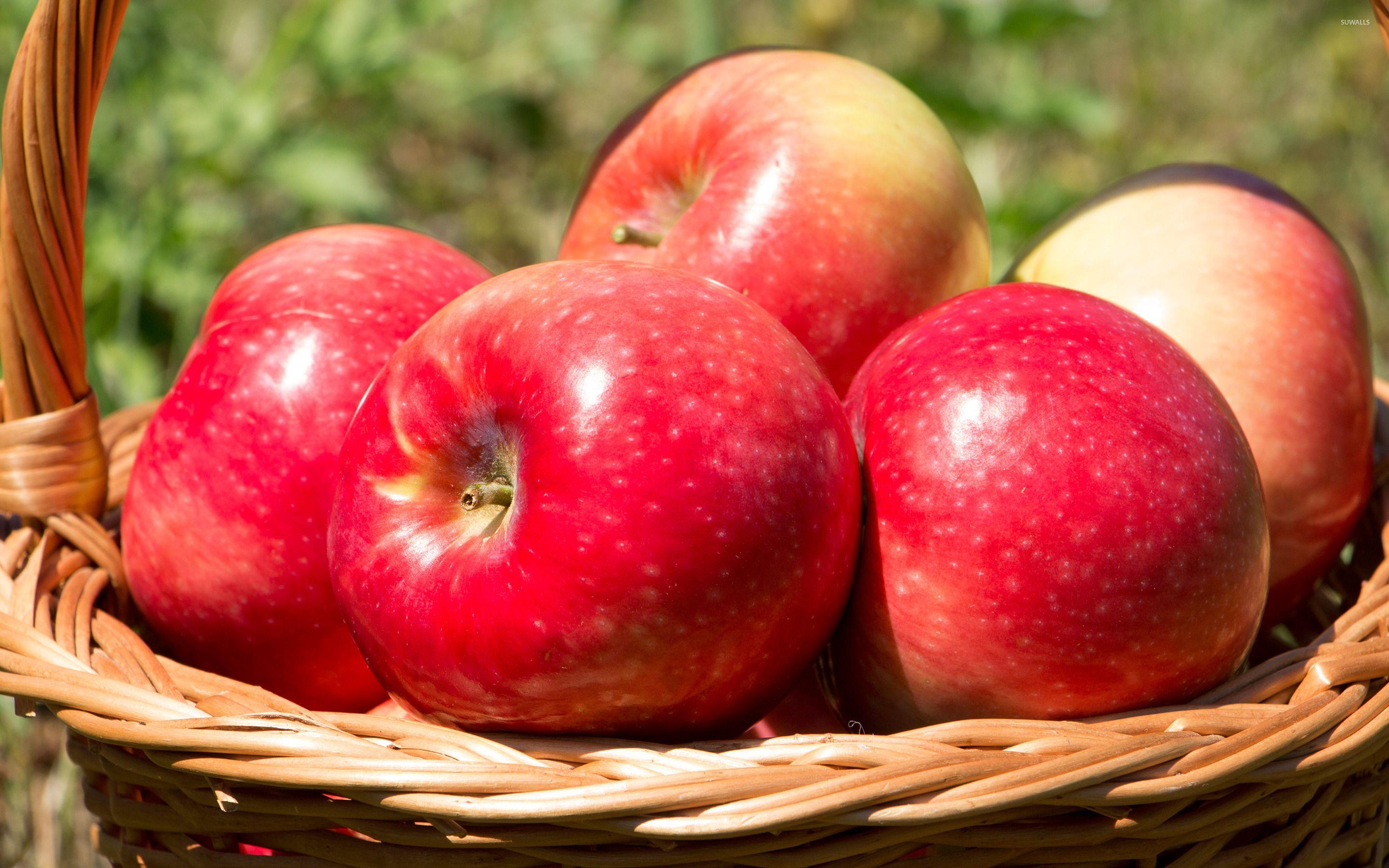 2880x1800 Red shiny apples wallpaper wallpaper