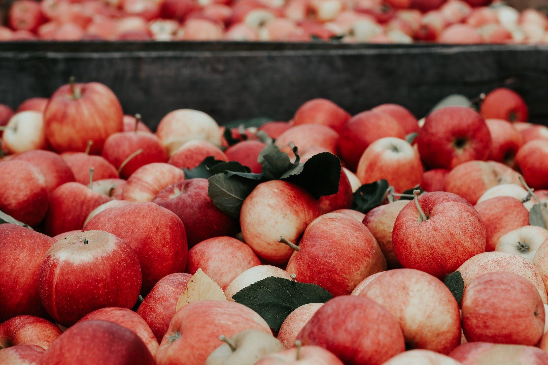 2208x1472 Green and Red Apples Wallpaper