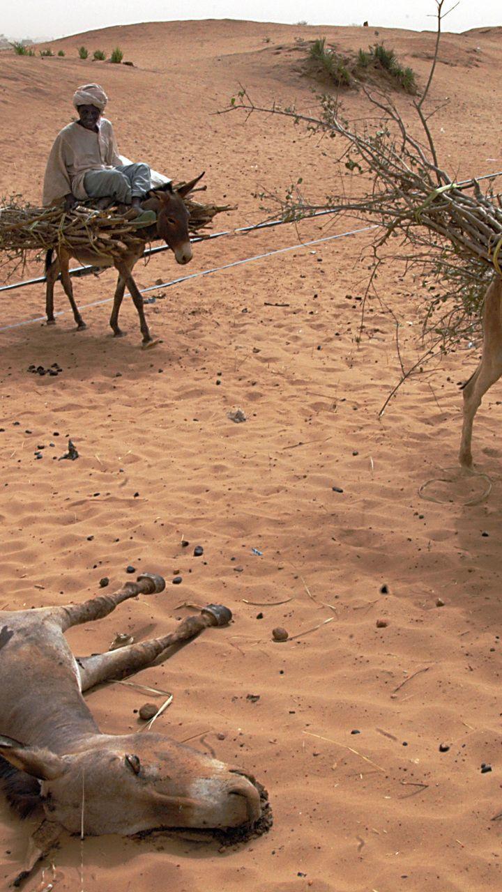 720x1280 country, sudan desktop wallpaper 77702