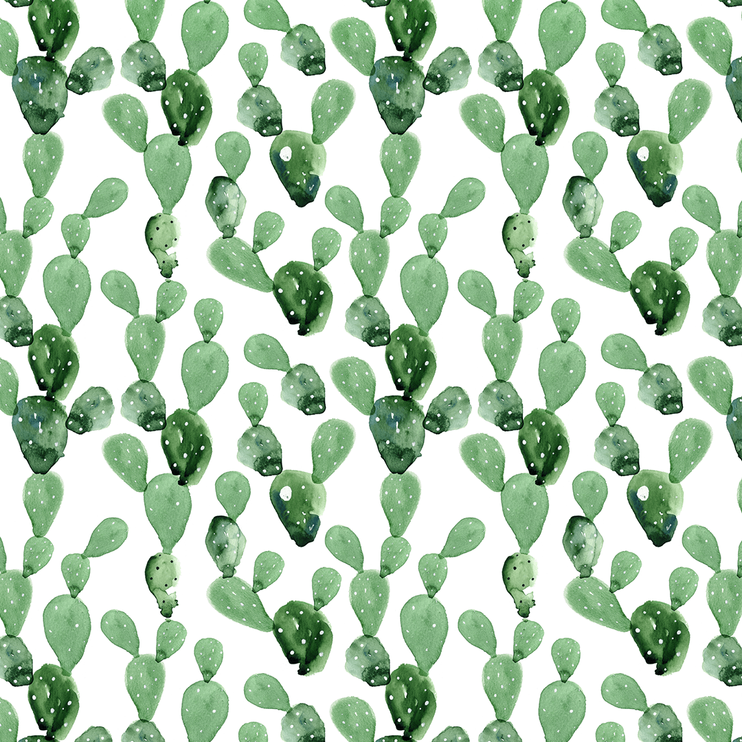 1080x1080 Watercolor Cactus Wallpaper Mural. Cactus Wallpaper Nursery