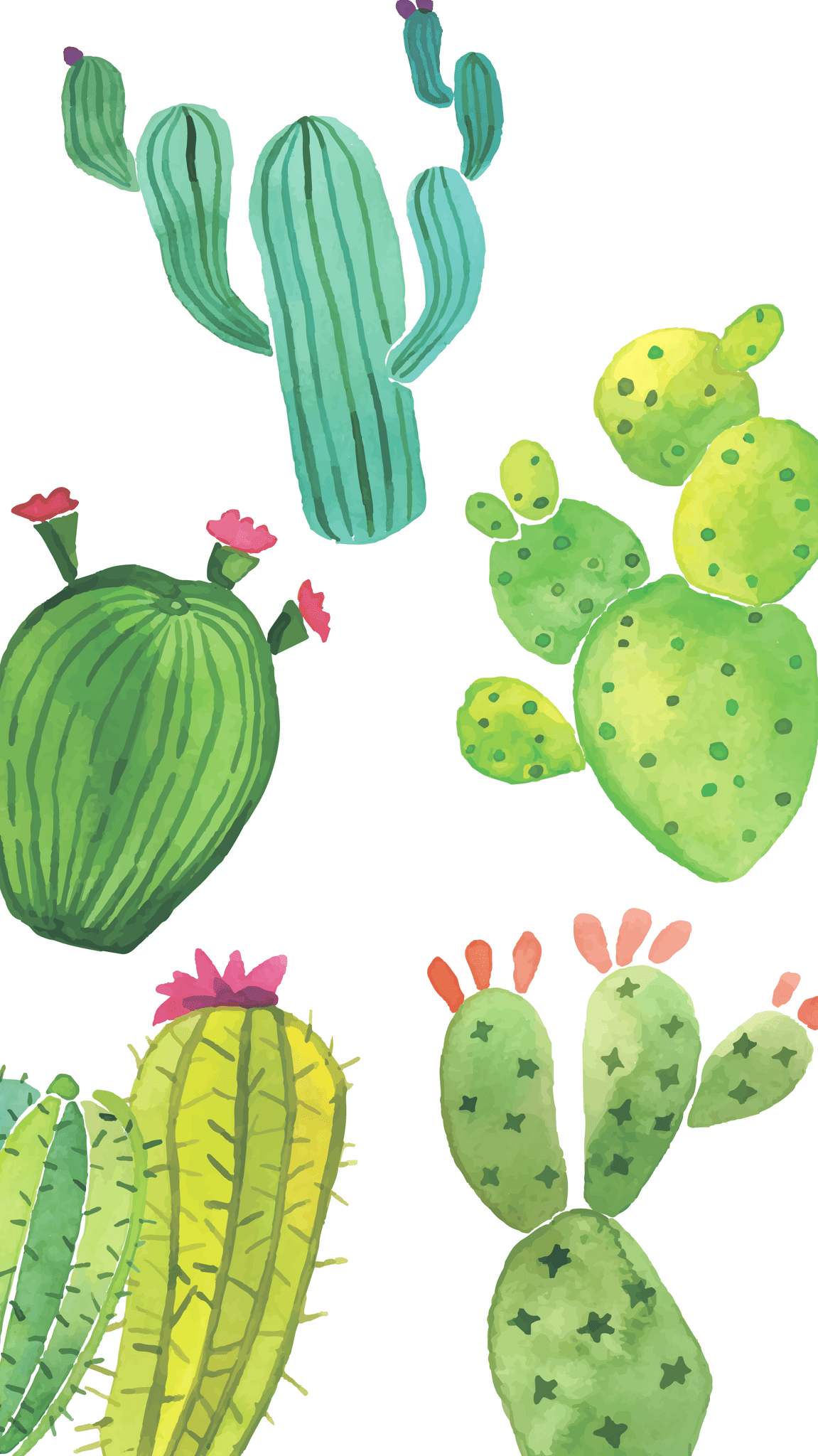 1151x2048 Dropbox. w a l l p a p e r s. Cactus