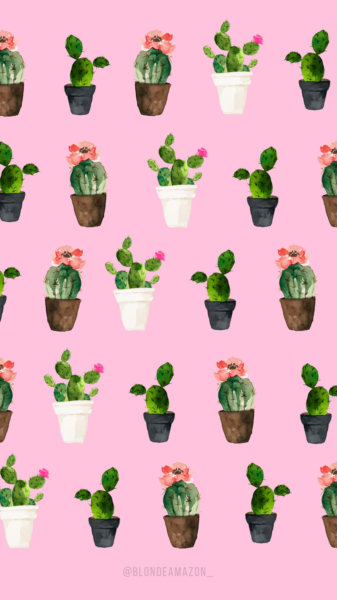Download Watercolor Cactus Wallpapers - Top Free Watercolor Cactus ...