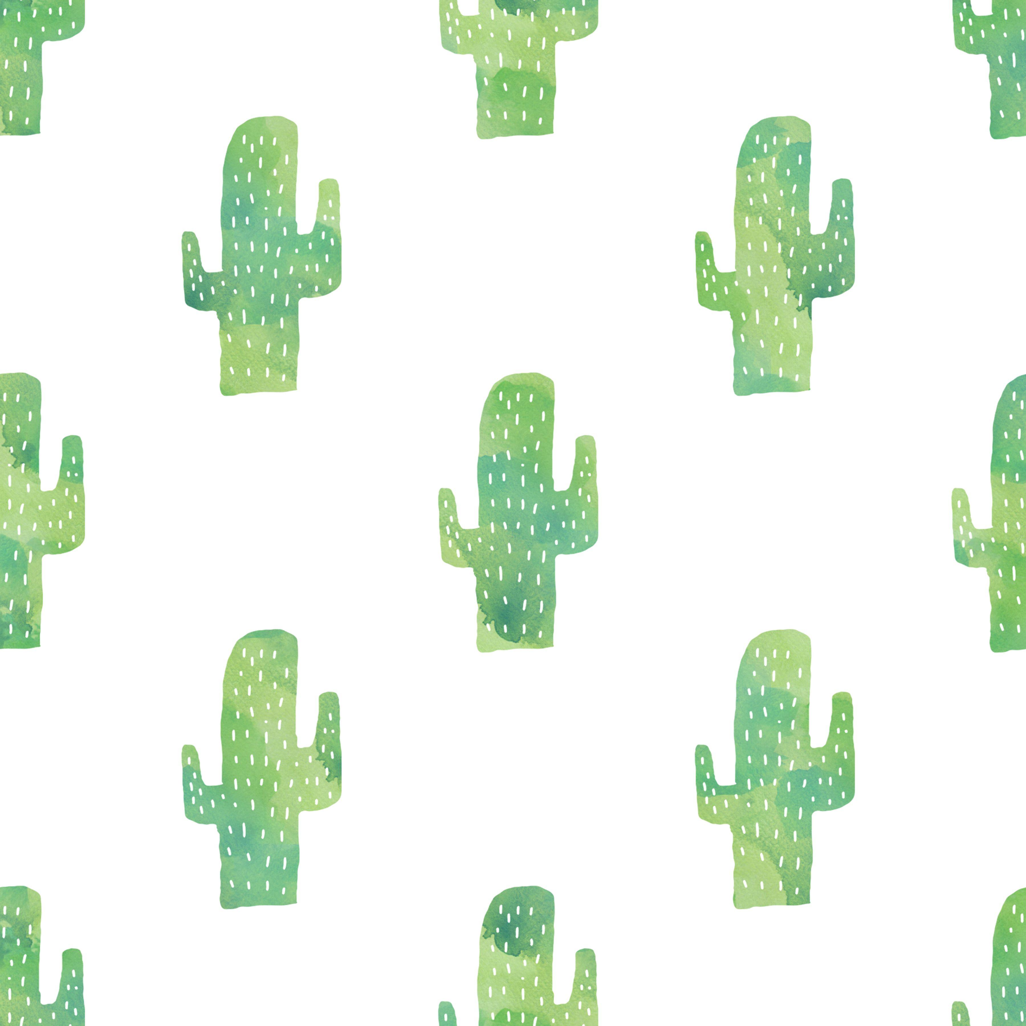 Watercolor Cactus Wallpapers Top Free Watercolor Cactus Backgrounds