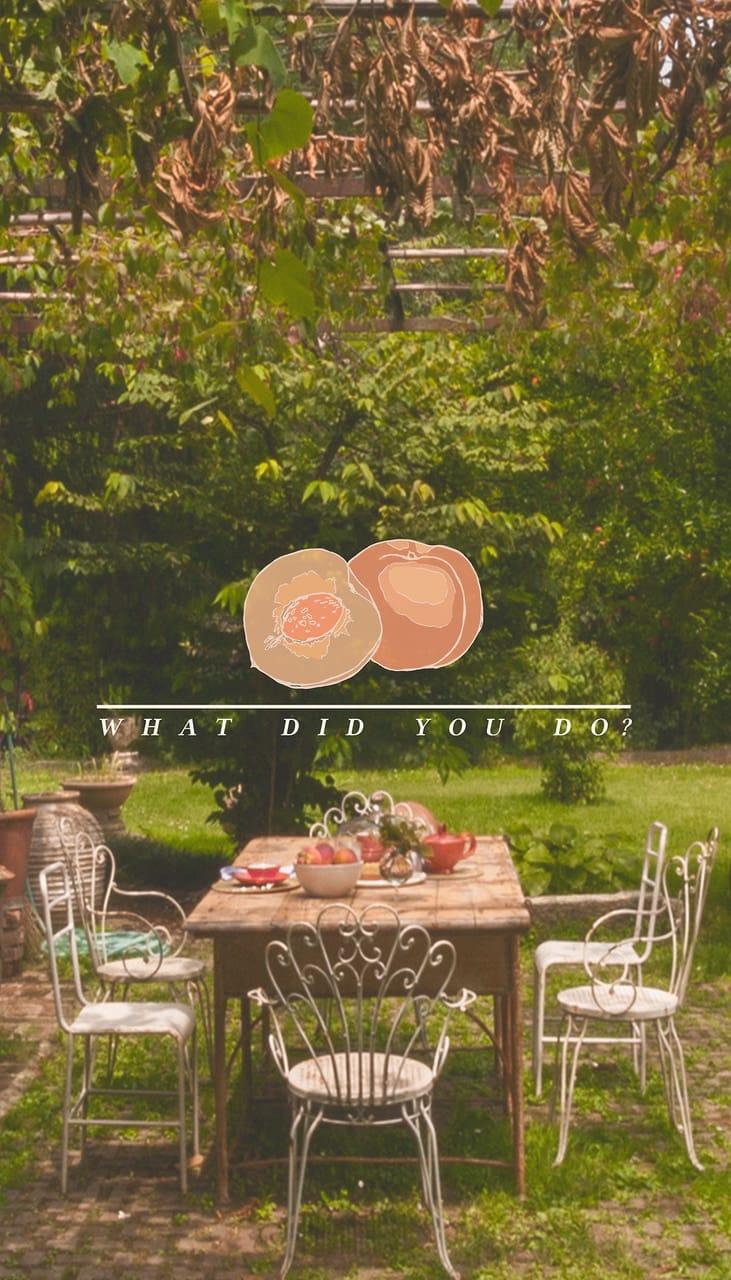 Call Me By Your Name Wallpapers Top Free Call Me By Your Name Backgrounds Wallpaperaccess