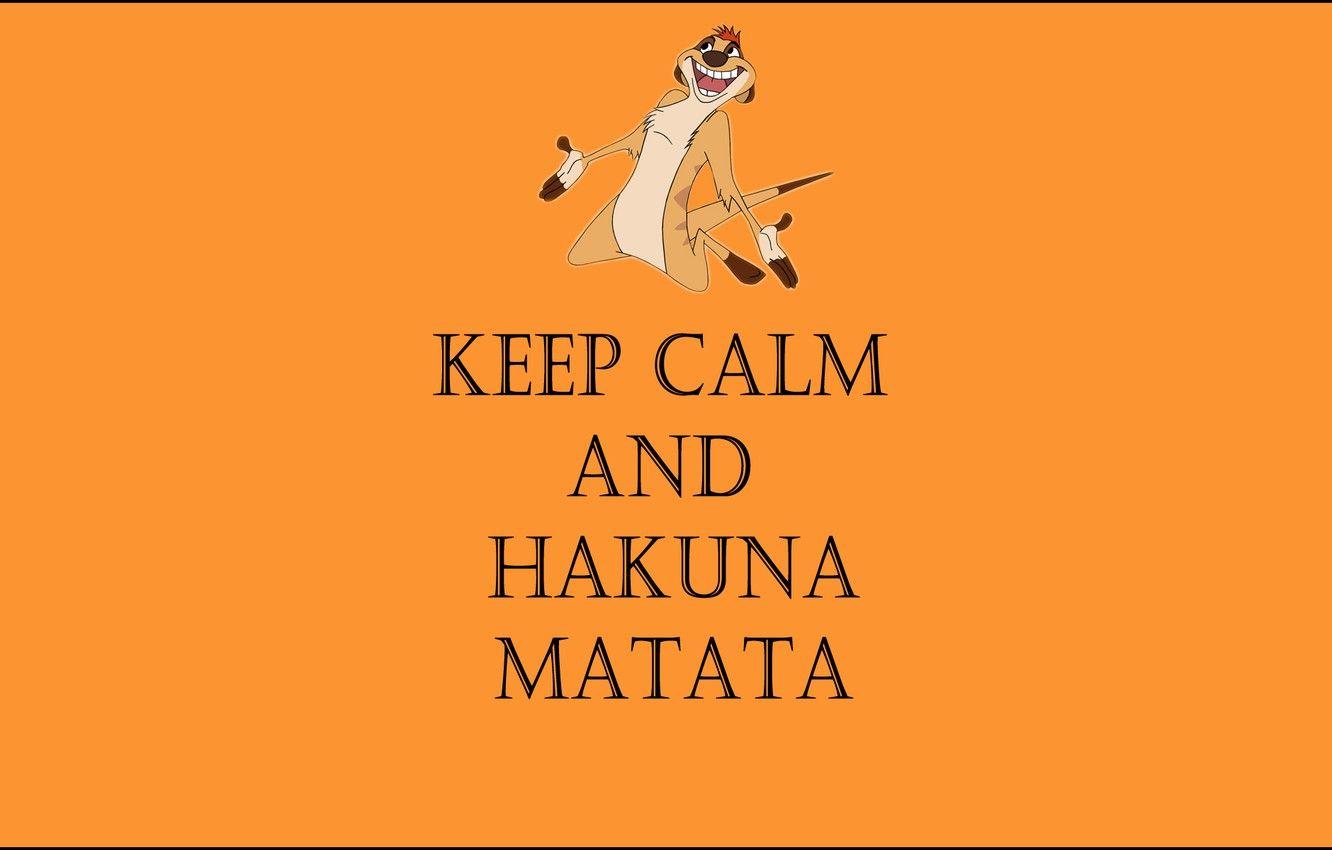 1332x850 Wallpaper life without worries, Timon, keep calm and hakuna