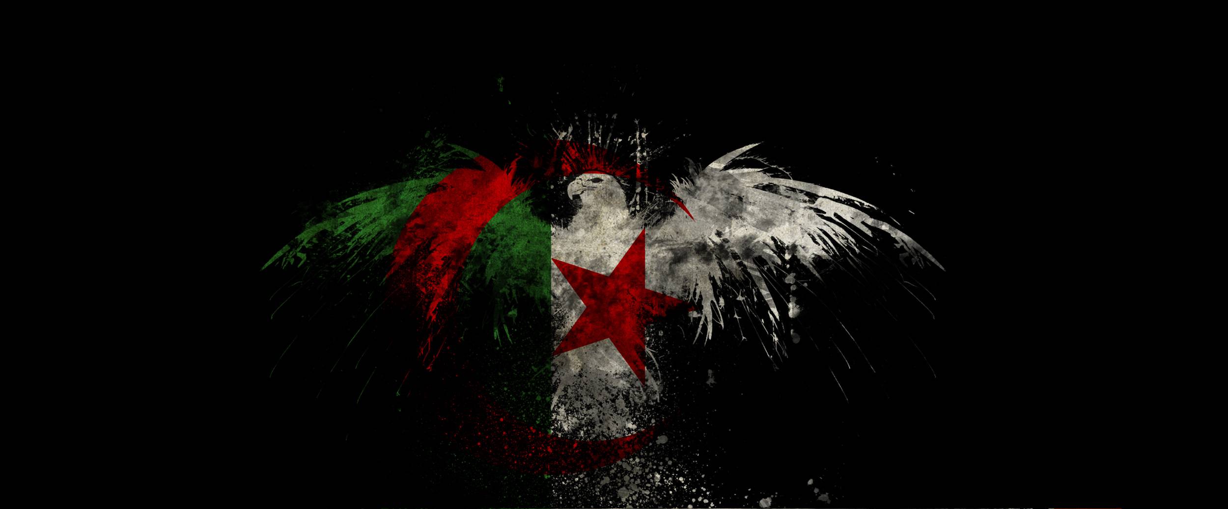 2500x1038 Algeria Wallpaper
