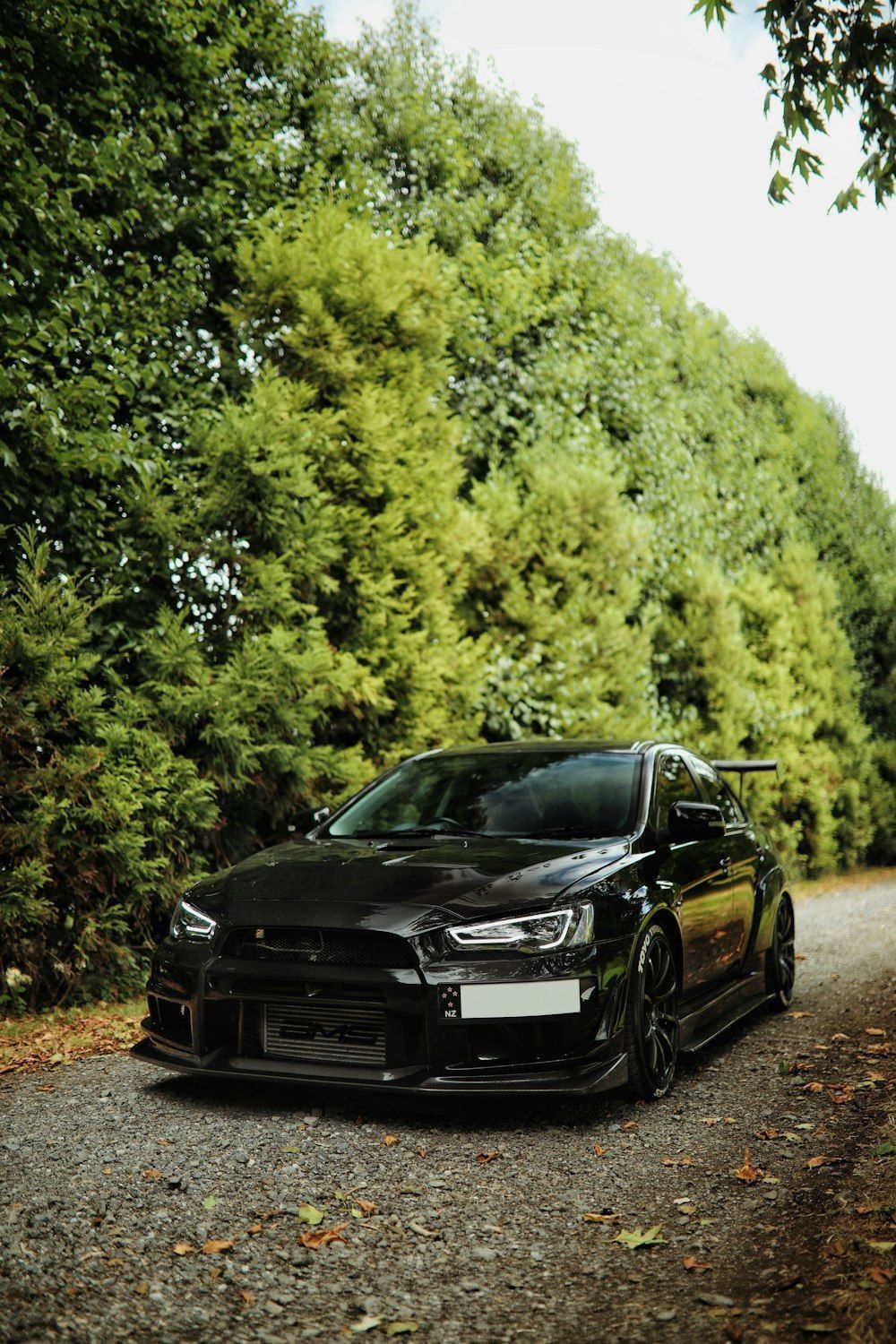 1000x1500 Mitsubishi Evo X Picture