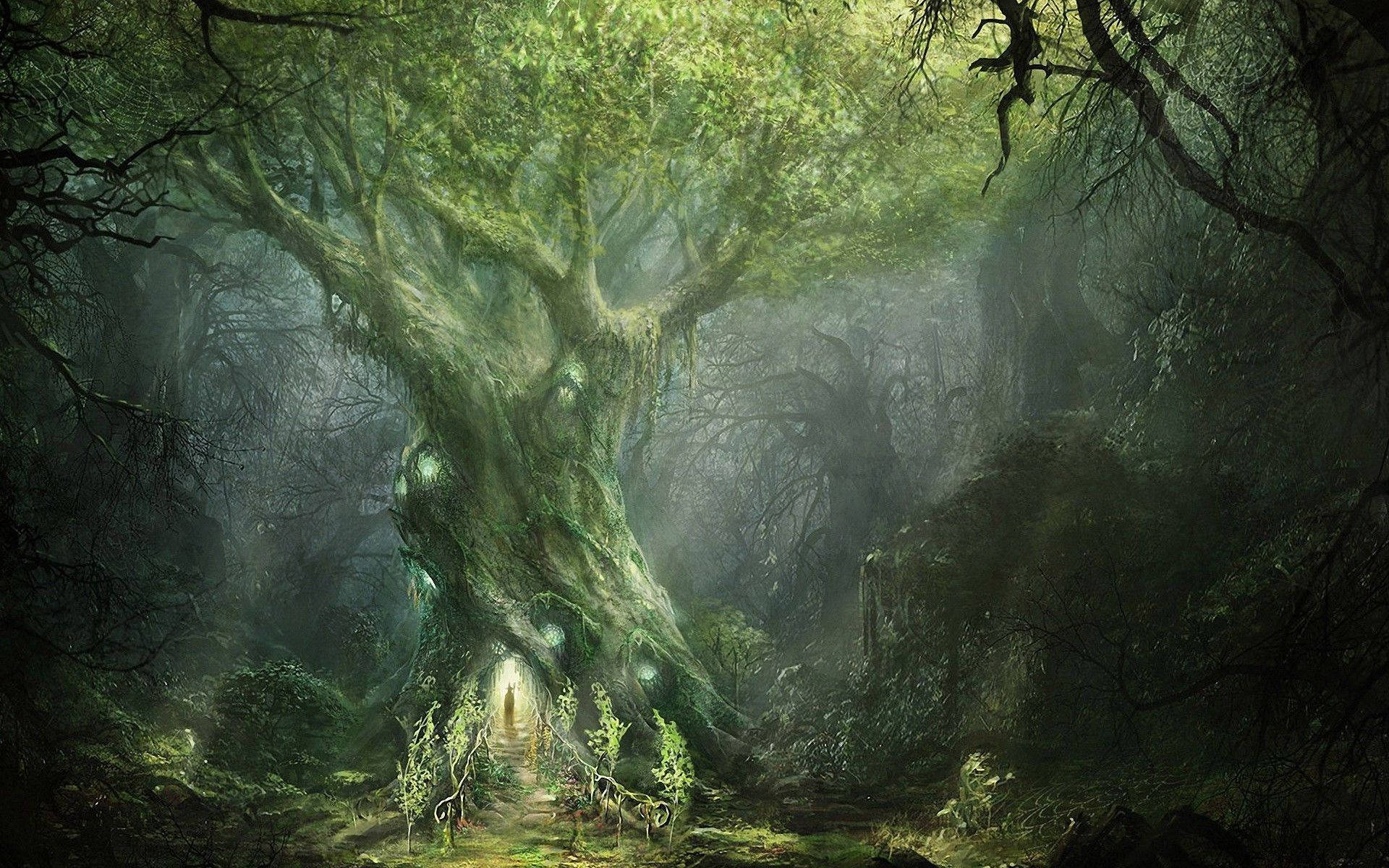 1920x1200 Lord Of The Rings HD Wallpaper