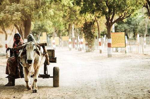 500x333 Rural India & HD Image