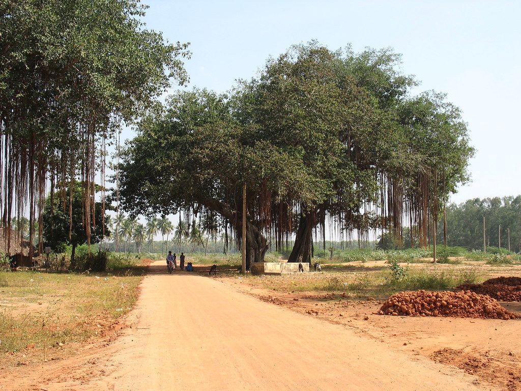 1024x768 rural india. This is a typical mud road in rural india. w