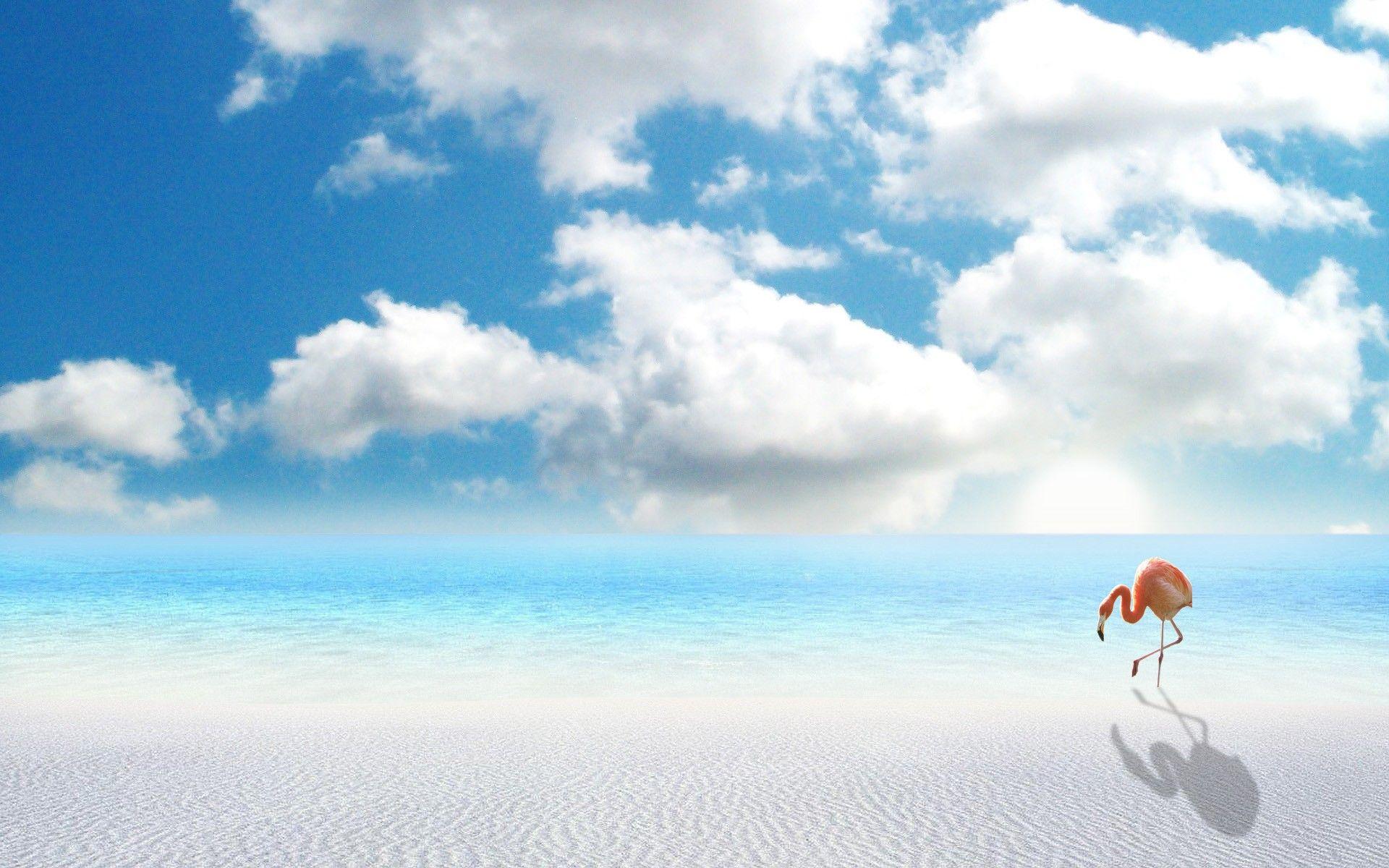 Minimalist Beach Wallpapers - Top Free Minimalist Beach Backgrounds