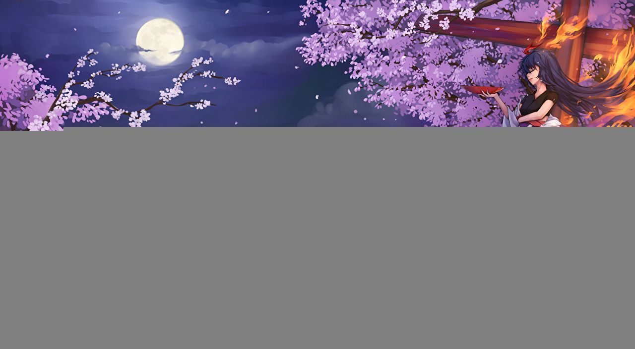 1280x704 Desktop Wallpaper Magic Cherry blossom