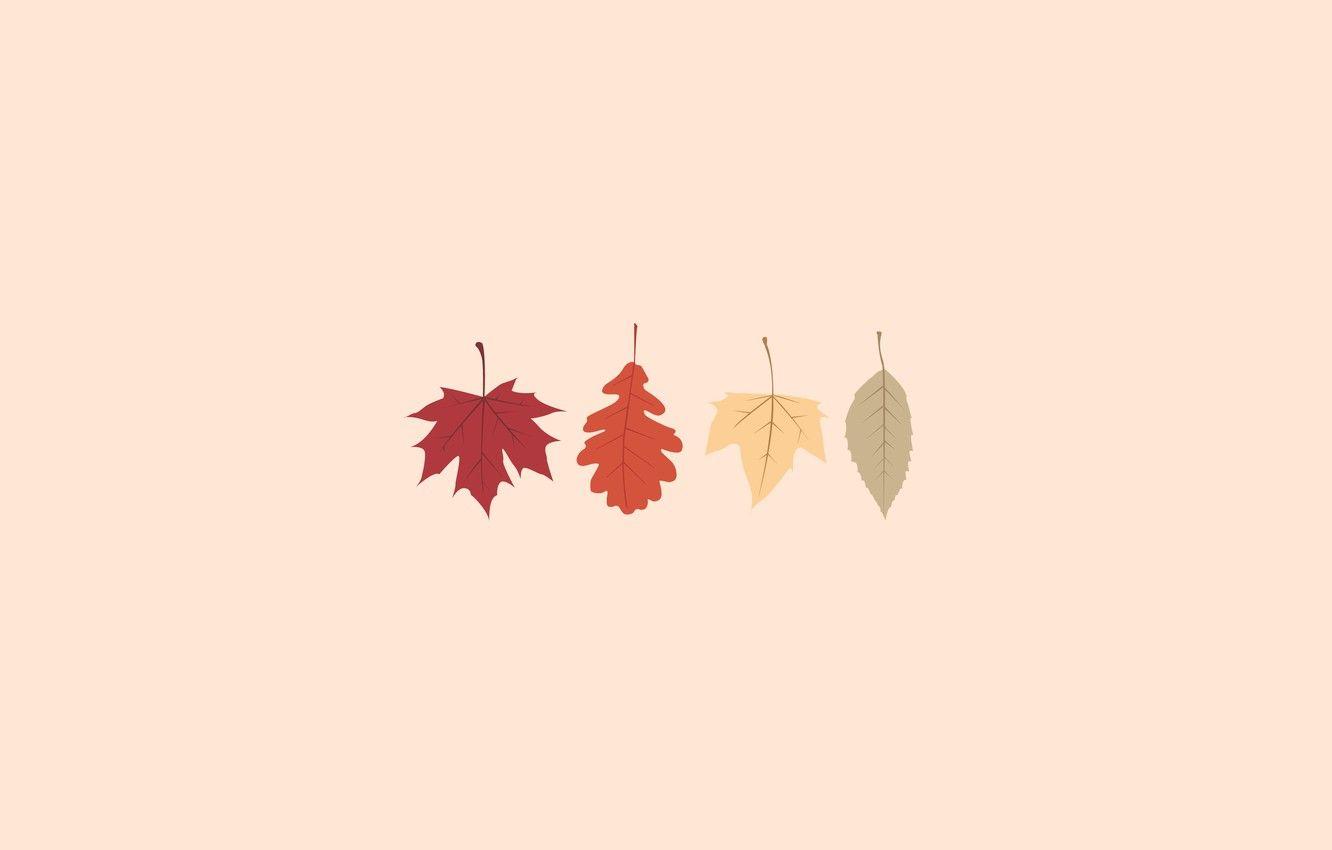Autumn Minimalist Wallpapers - Top Free Autumn Minimalist Backgrounds