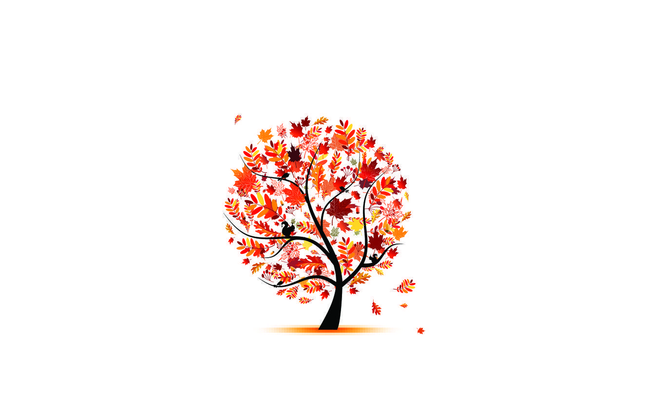 1332x850 Wallpaper autumn, leaves, birds, tree, brightness image