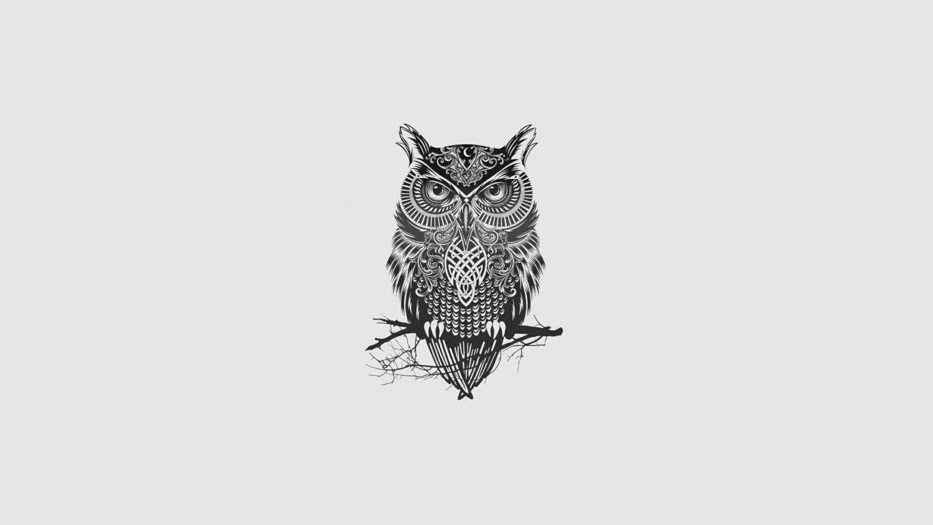 Minimalist Owl Wallpapers - Top Free Minimalist Owl Backgrounds