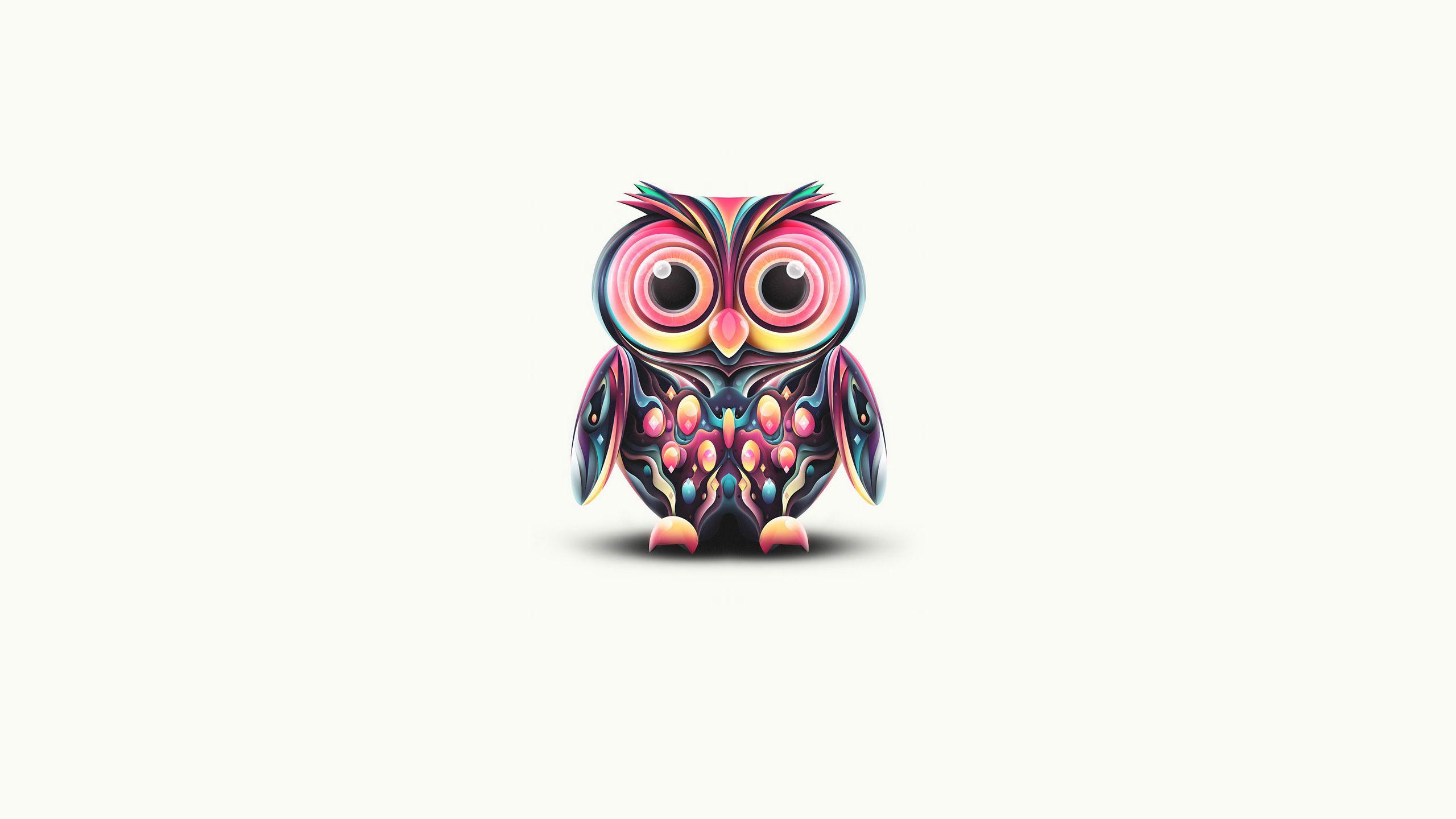 2560x1440 Owl HD Wallpaper and Background Image