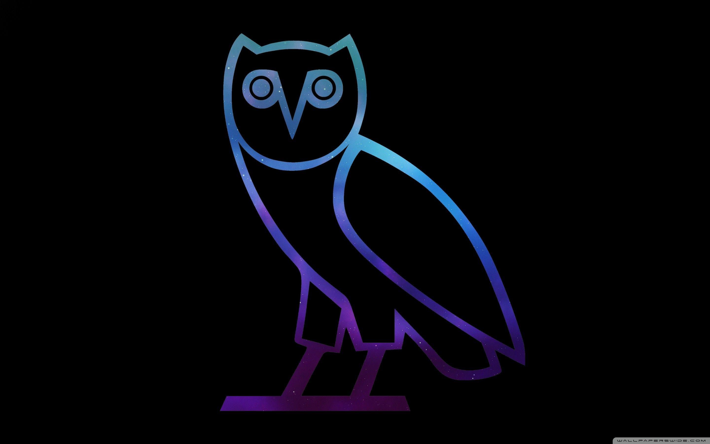 2880x1800 Ovo Owl Wallpaper
