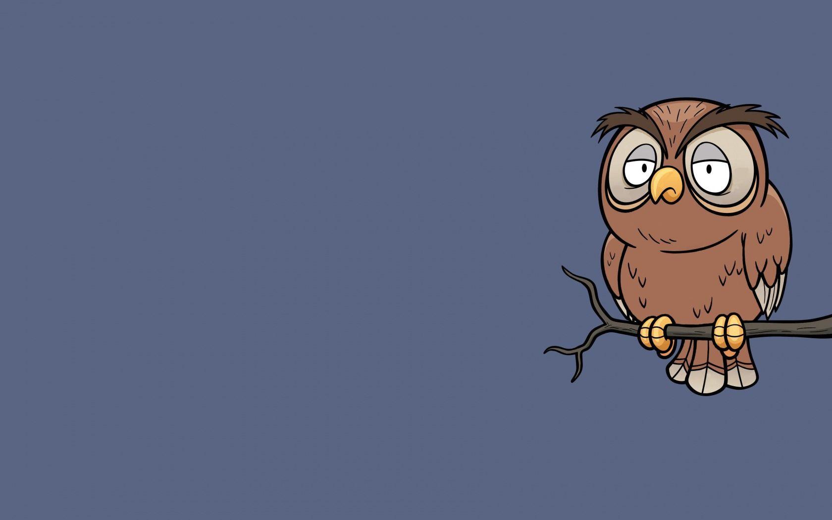 Minimalist Owl Wallpapers Top Free Minimalist Owl Backgrounds – Nbkomputer