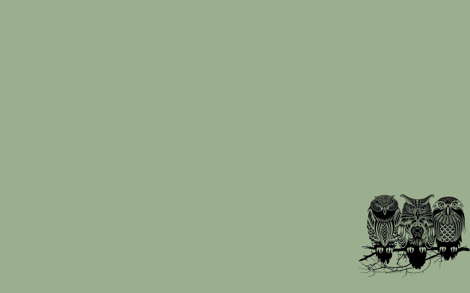 Minimalist Owl Wallpapers - Top Free Minimalist Owl Backgrounds ...