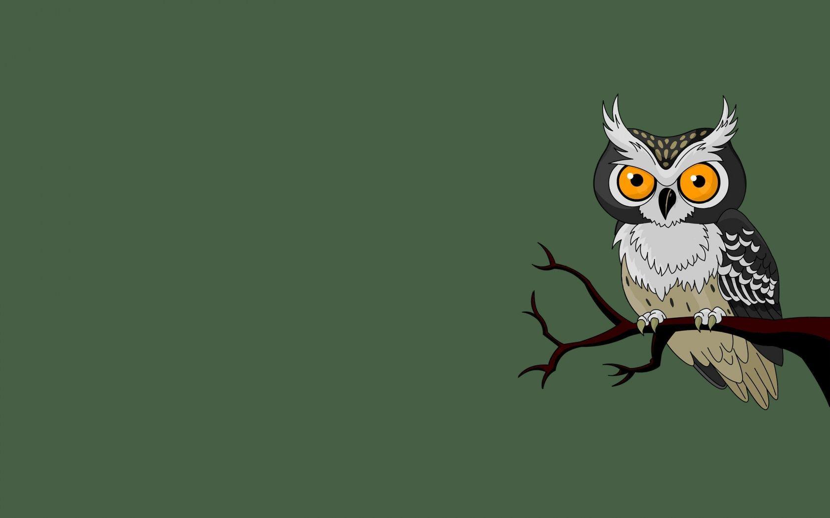 1680x1050 Free download Owl branch owl bird green background