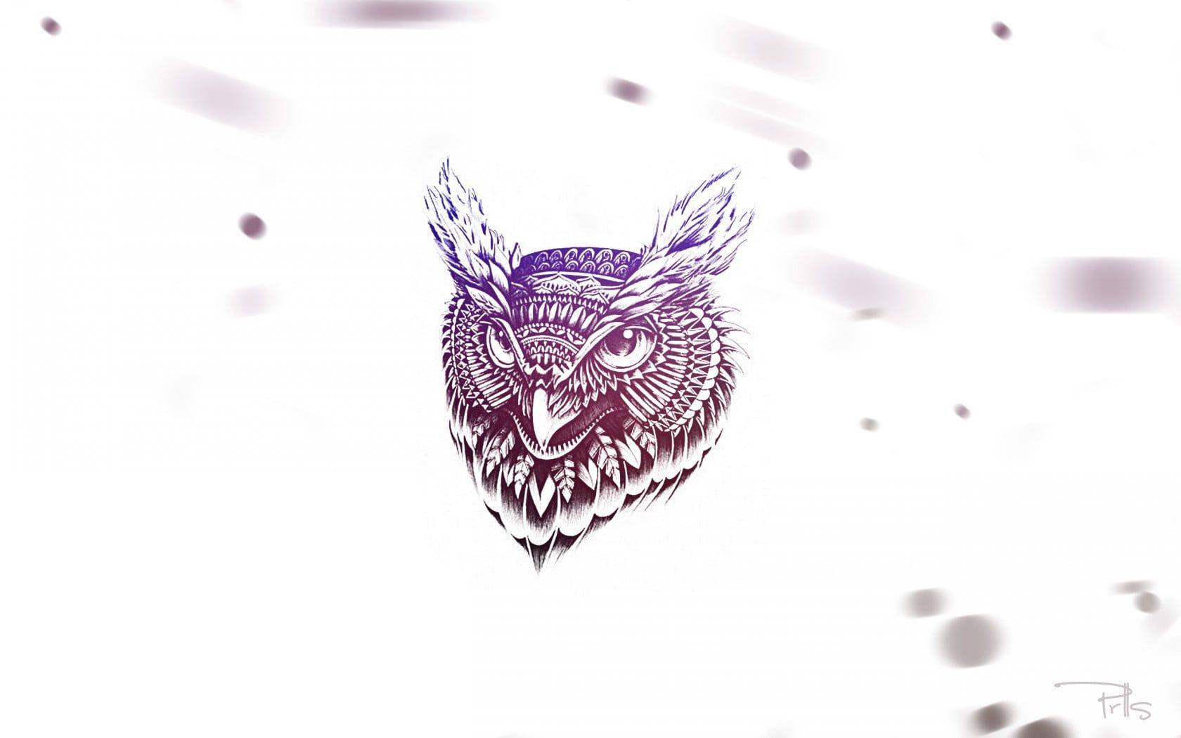 1680x1050 White and brown owl illustration, owl, minimalism, feathers