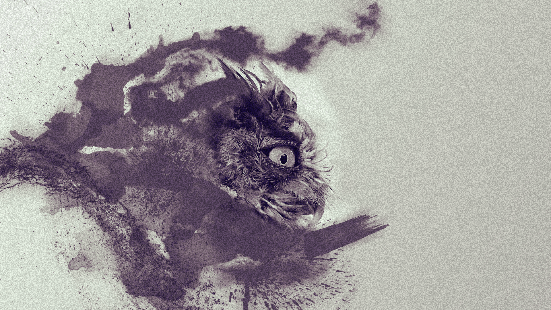 1920x1080 Owl Tumblr Wallpaper For iPhone Life