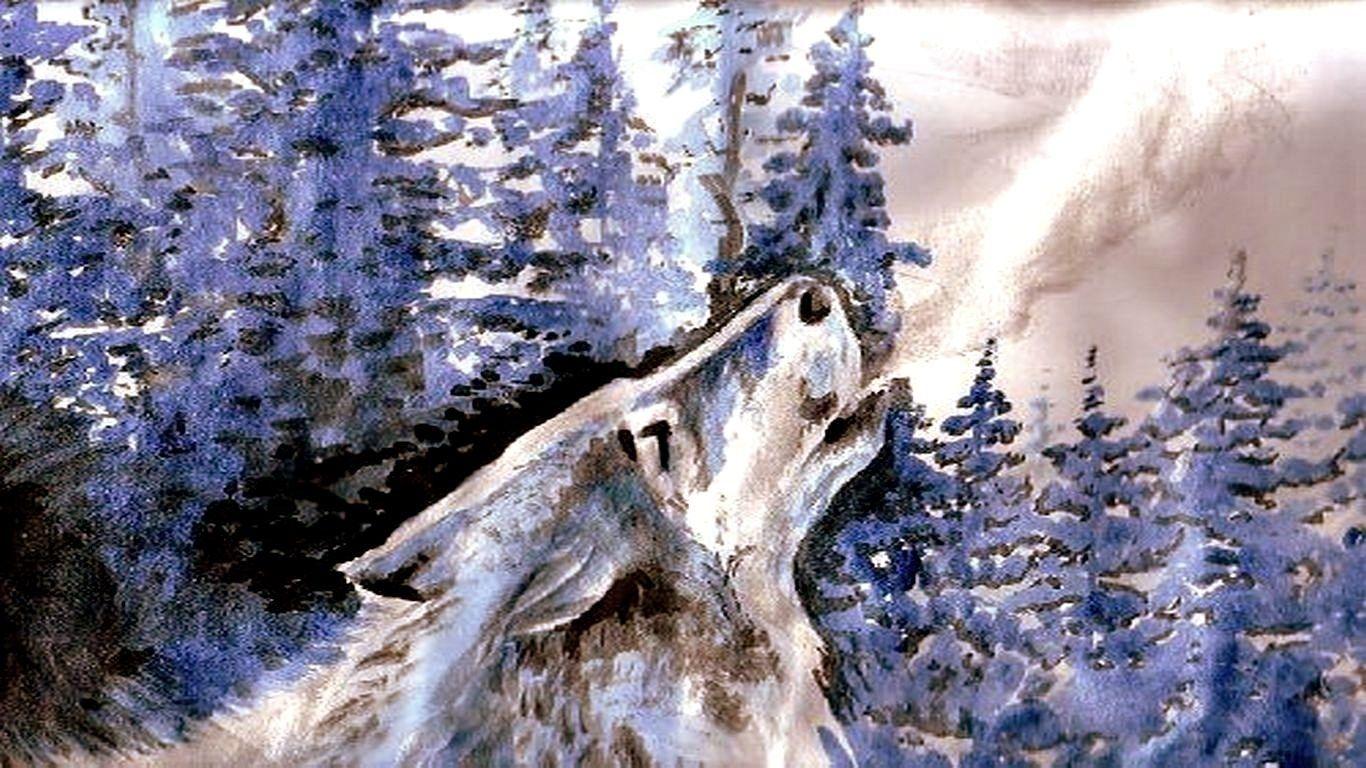 1366x768 HD wallpaper wolf. Animal. Tokkoro.com Amazing HD