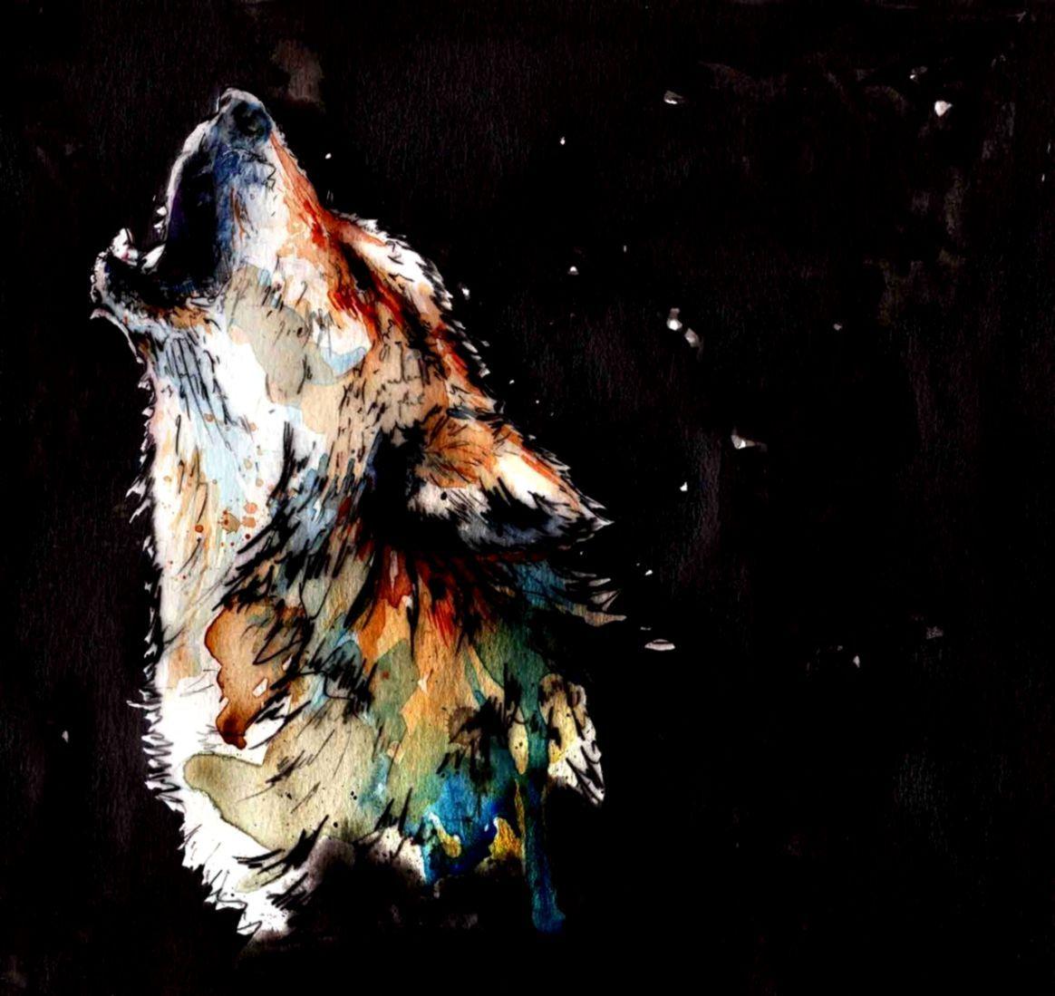 1164x1099 Wolf Howling Tumblr
