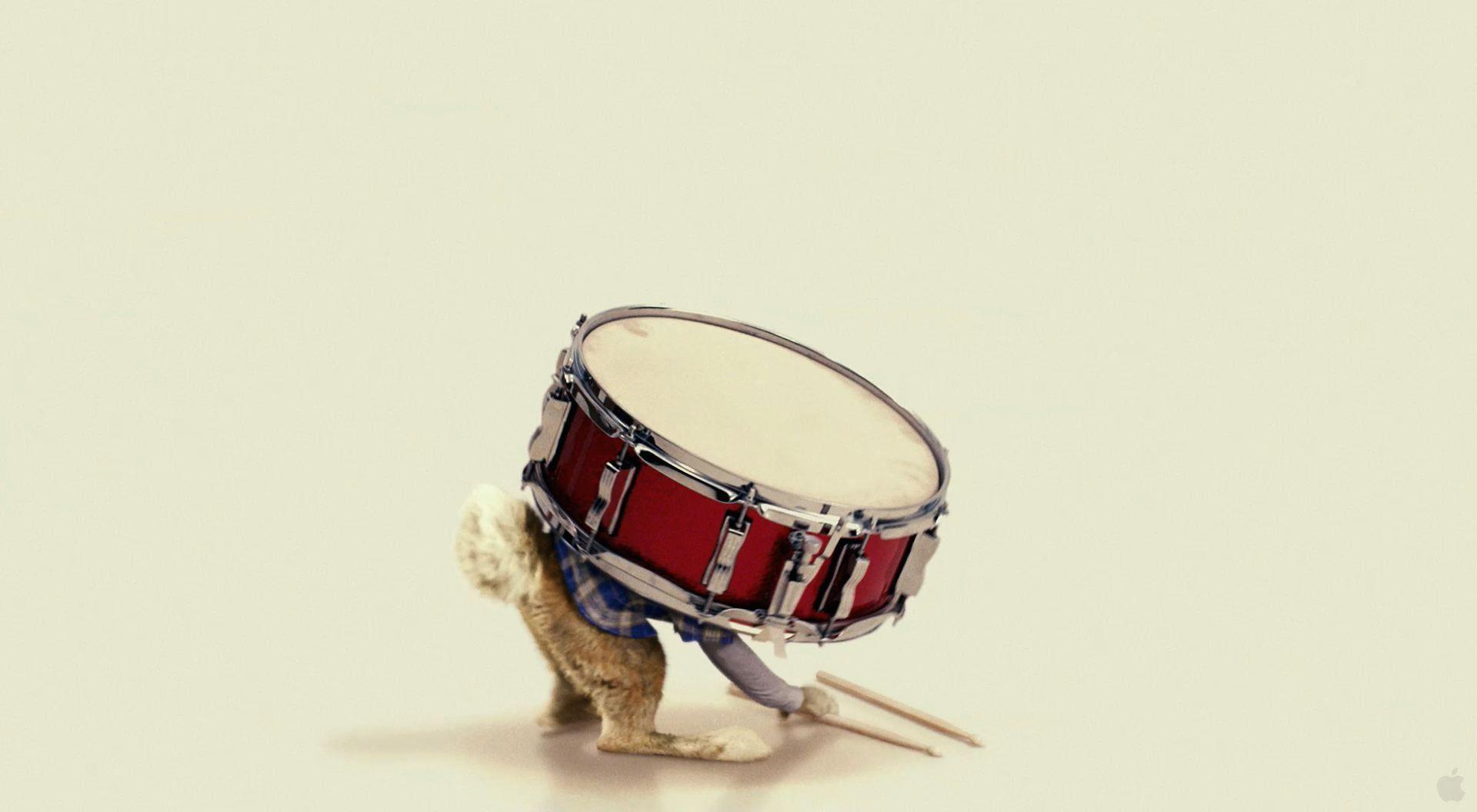 1920x1056 Easter Bunny Drums Wallpaper Wallpaper