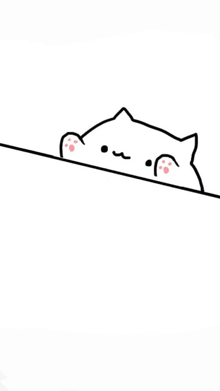 Bongo Cat Wallpapers - Top Free Bongo Cat Backgrounds - WallpaperAccess