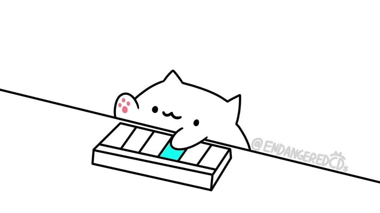 Bongo Cat Wallpapers - Top Free Bongo Cat Backgrounds - WallpaperAccess