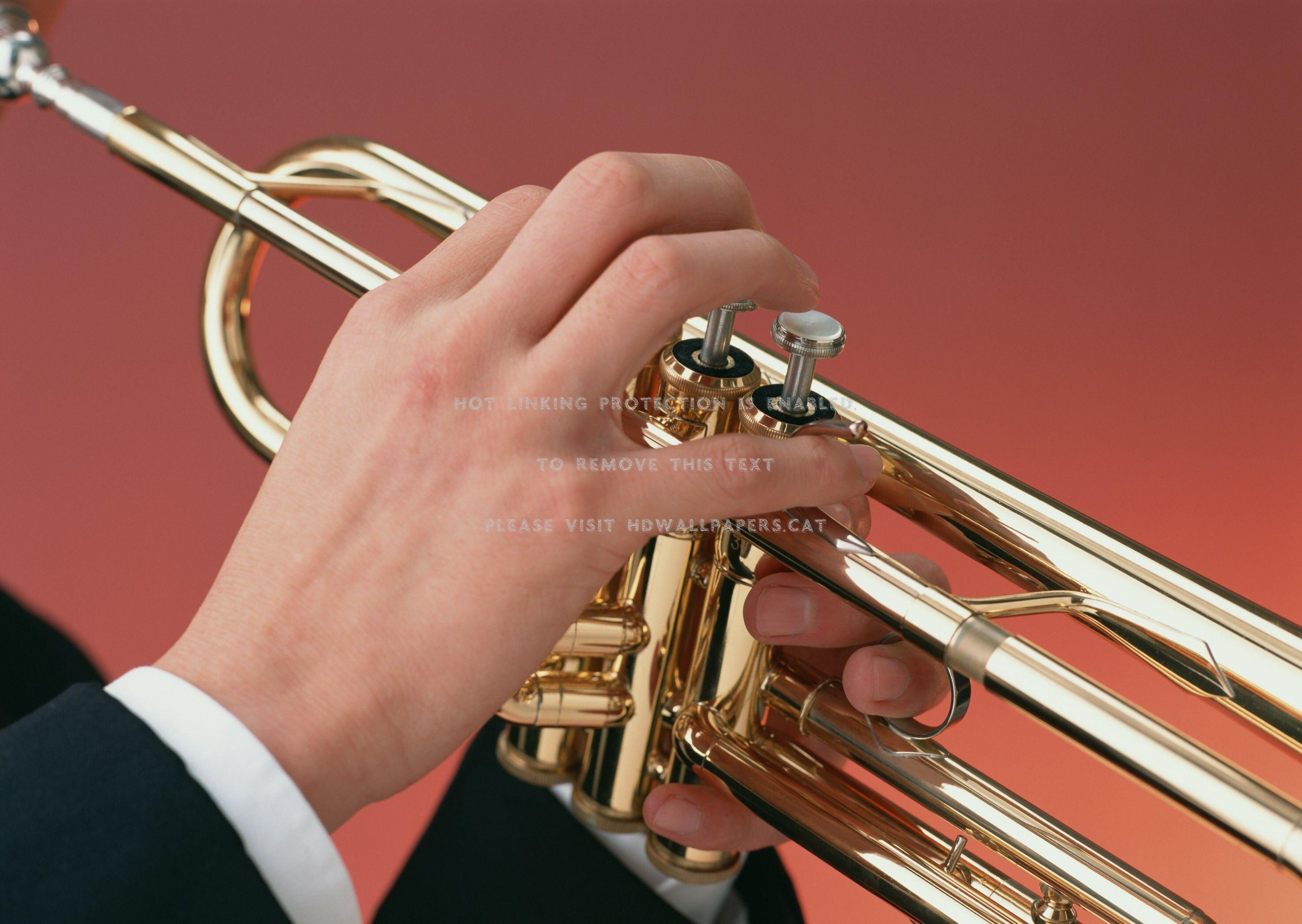 Trumpet Wallpapers - Top Free Trumpet Backgrounds - WallpaperAccess