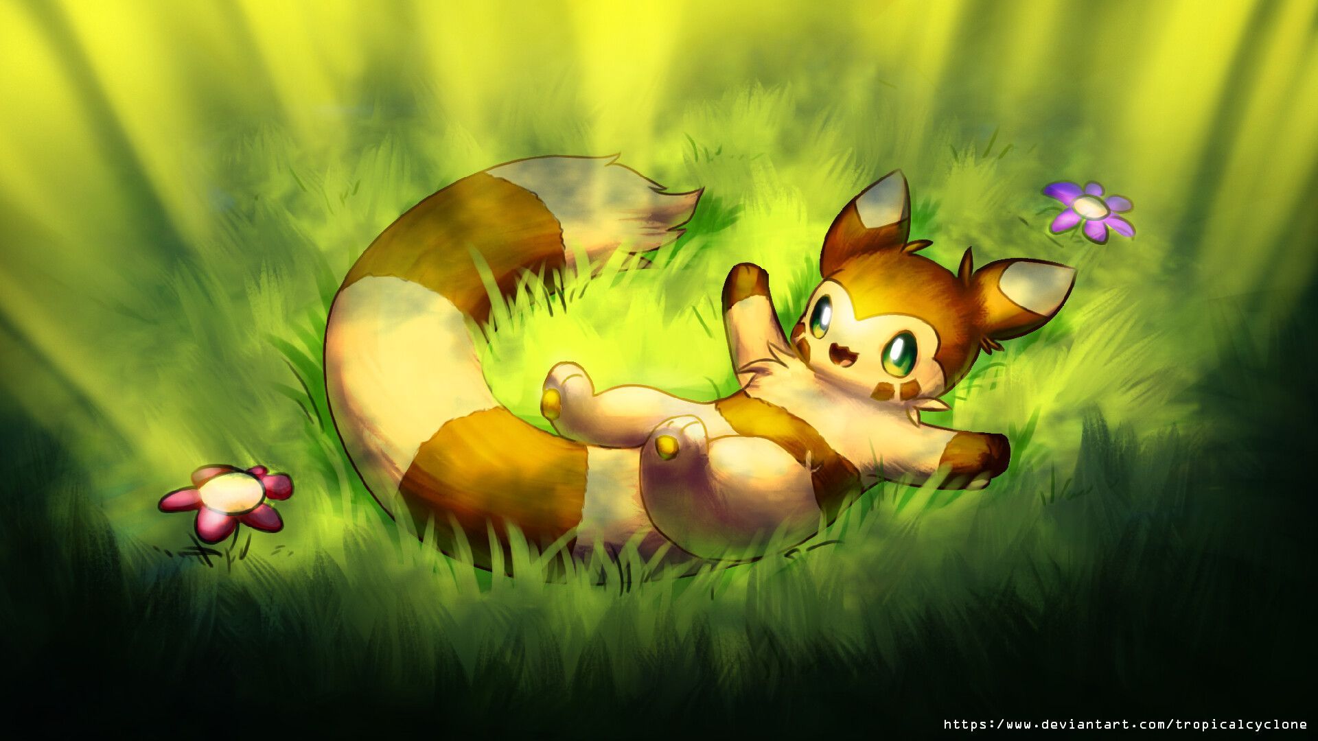 1920x1080 Furret
