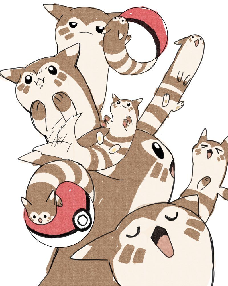 800x1000 Furret: Trending Image Gallery List