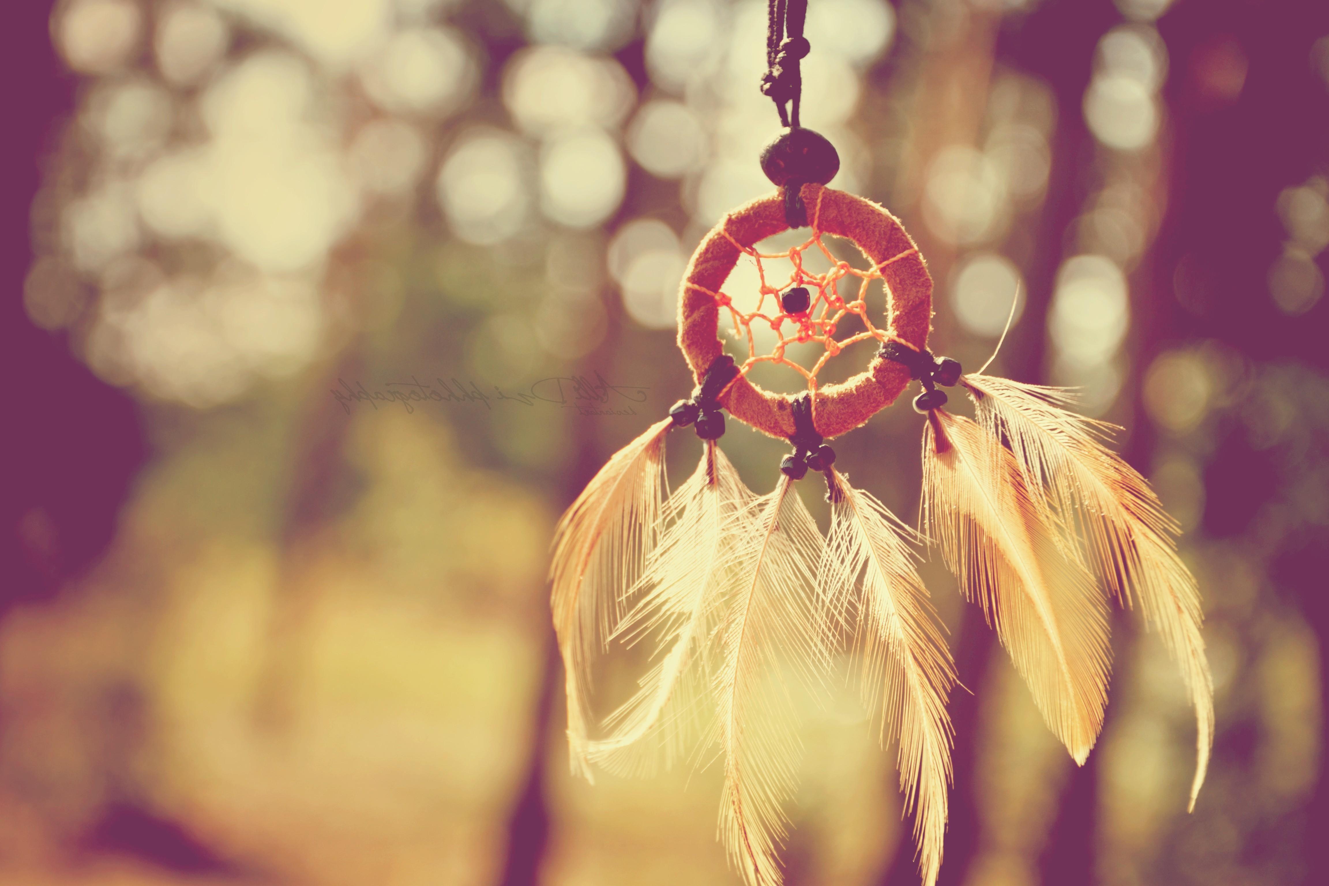 4608x3072 Hipster Owl Wallpaper Hd.Digital Art Minimalism Animals Owl Feathers