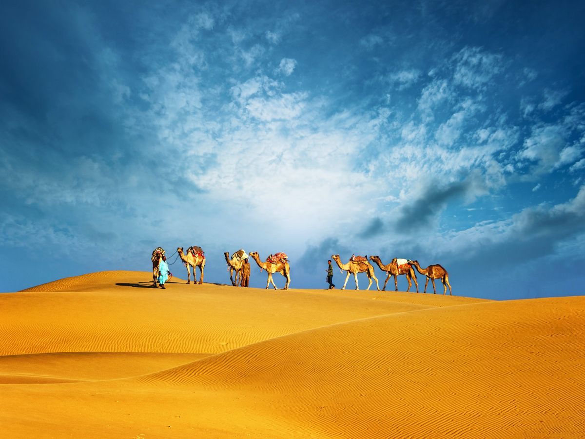 1200x900 tips for booking a UAE desert safari