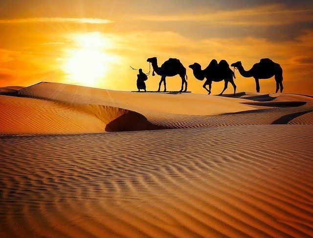 640x486 Dubai Desert Safari Will Be