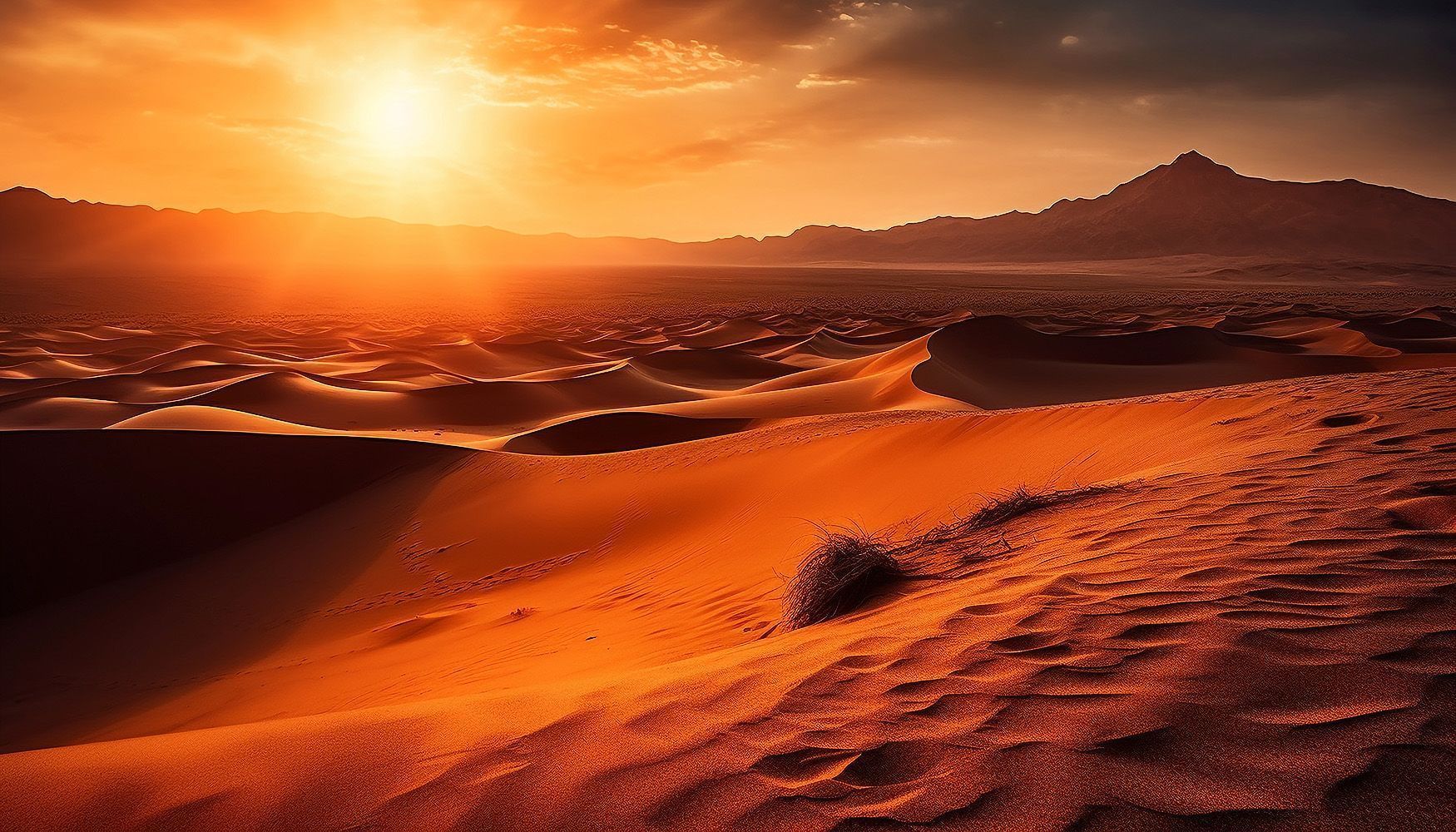 1750x1000 What Time Is Desert Safari In Dubai