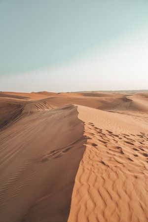 300x450 Desert safari dubai, Safari