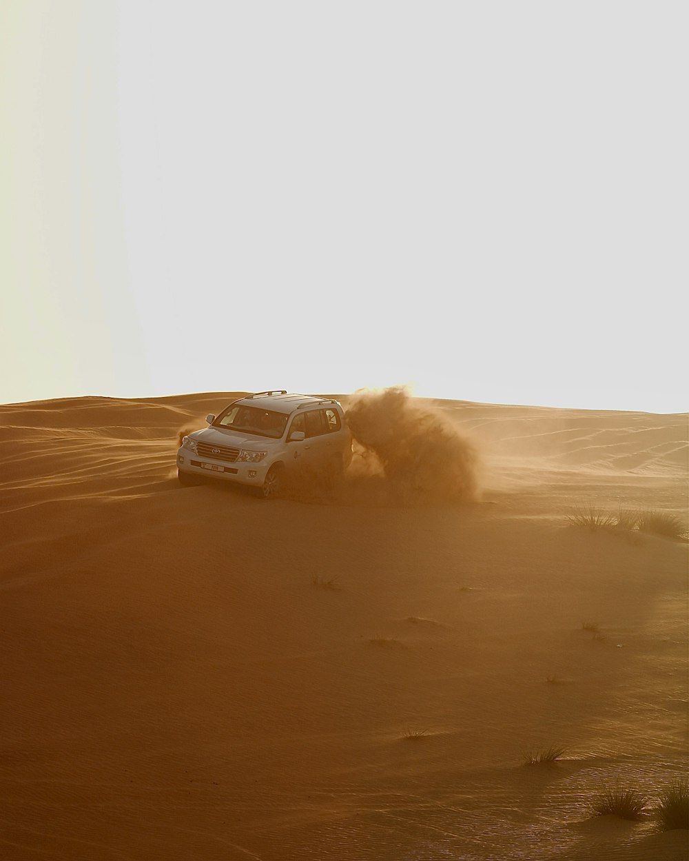 1000x1249 Dubai Desert Safari Picture. Download