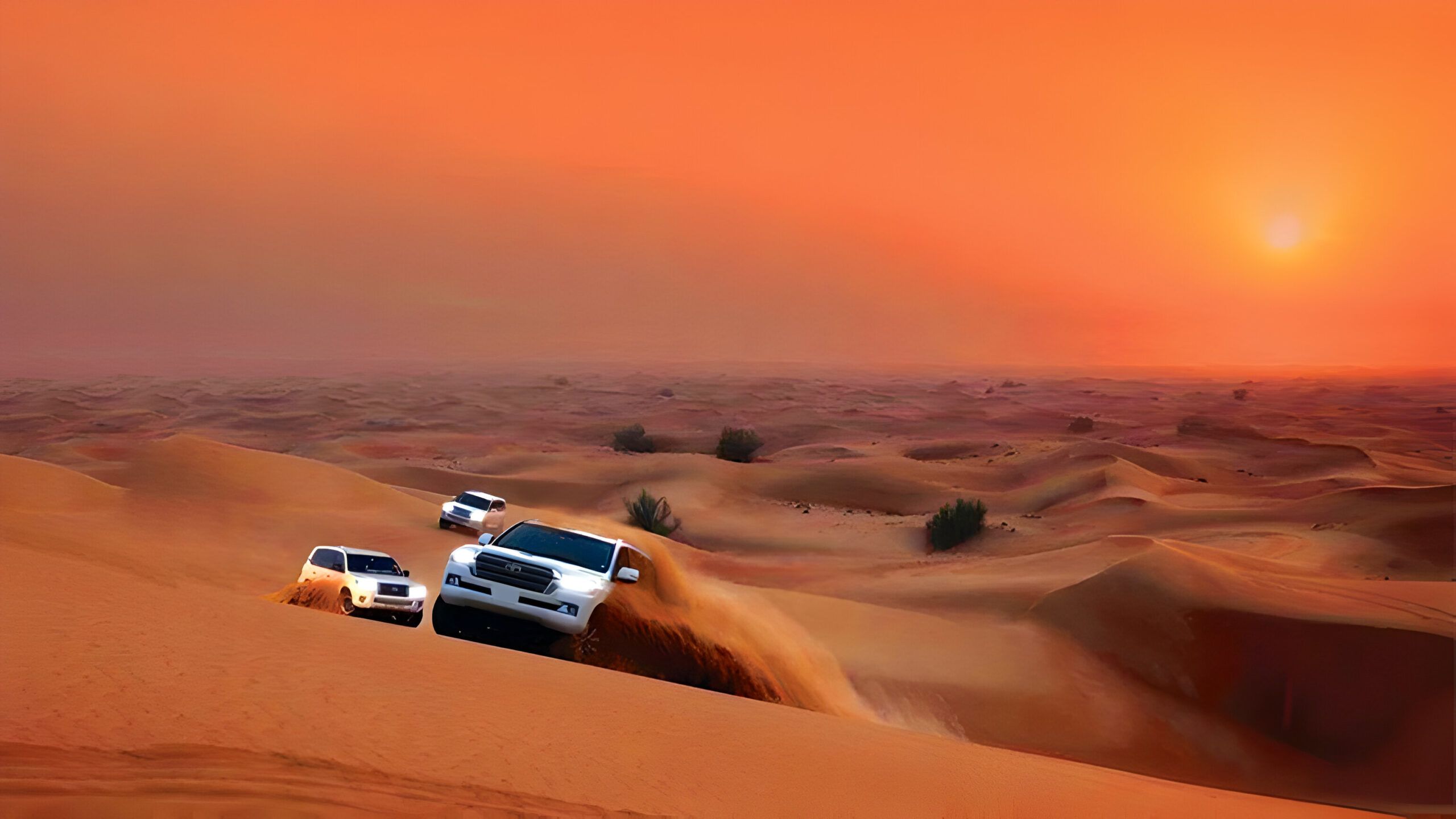 2560x1440 The Beauty of Evening Desert Safaris