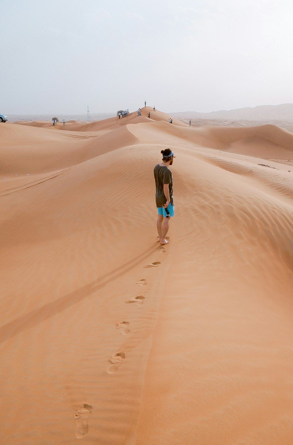 1000x1521 Dubai Desert Safari Picture. Download